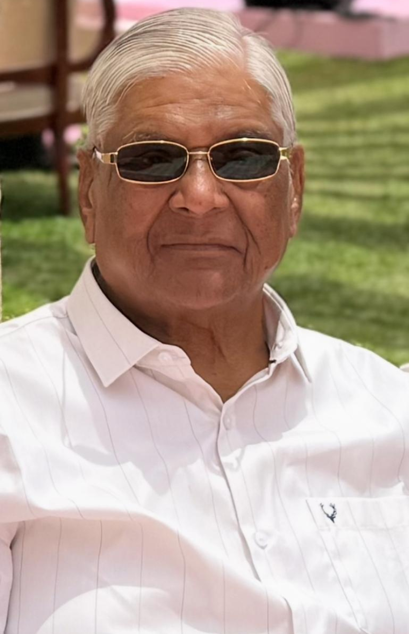 MR. BRIJ BHUSHAN GOEL